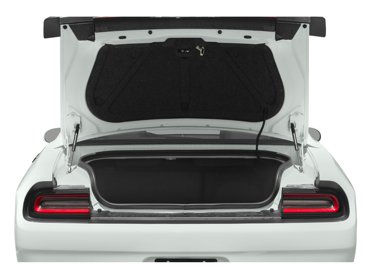 2021 Daimler Dodge Challenger Rtscatpk