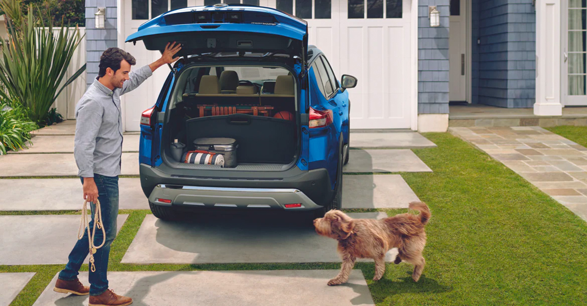 Driving Cross Country With a Dog