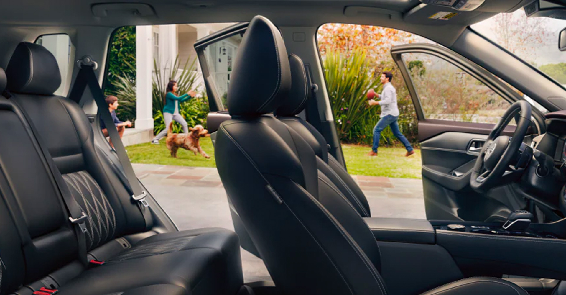 Driving With a Dog in the Car